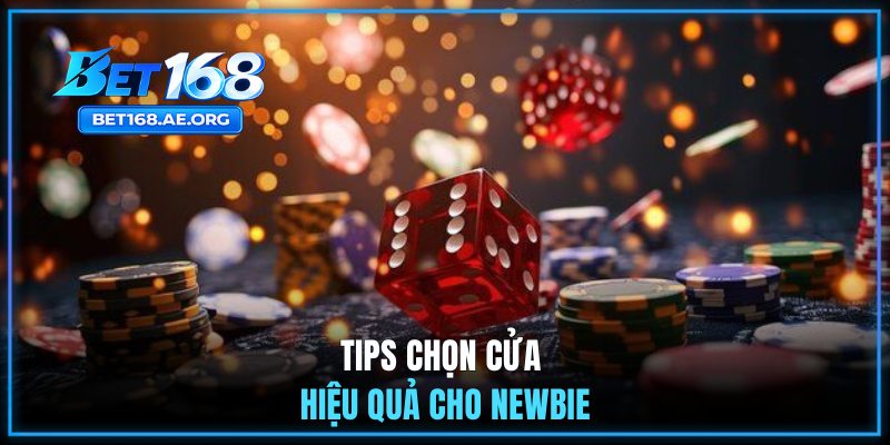 Tips chọn cửa hiệu quả cho newbie
